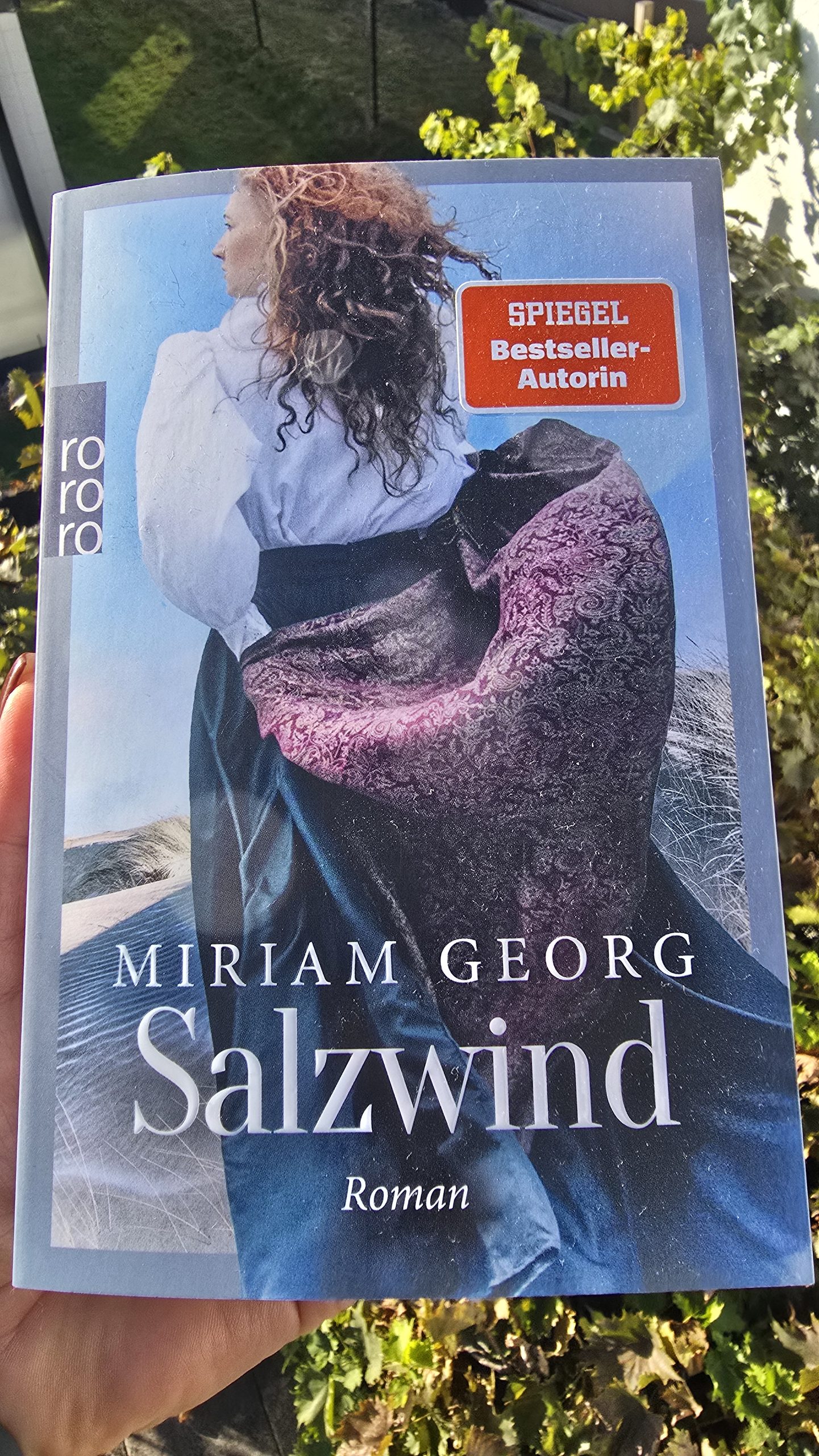 Salzwind von Miriam Georg