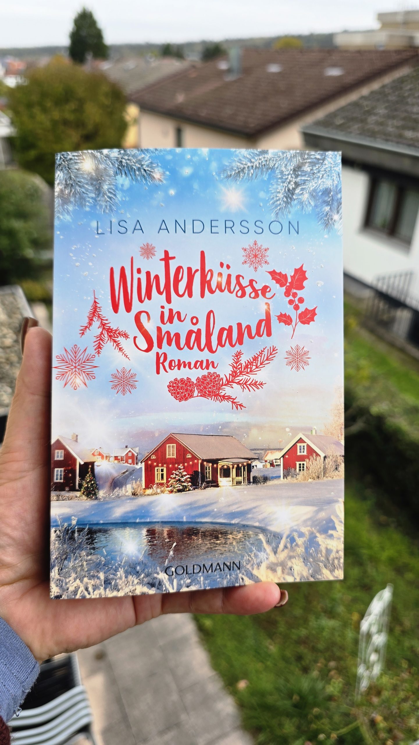 Winterküsse in Smaland von Lisa Andersson
